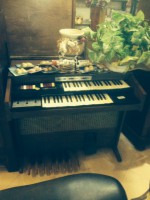 /album/galleria-foto-galleria/foto-4-jpg/